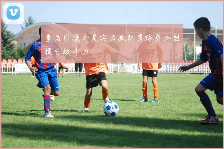 皇马引援全是实力派熟男球员加盟提升战斗力