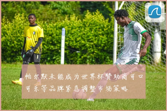 帕尔默未能成为世界杯赞助商可口可乐等品牌紧急调整市场策略