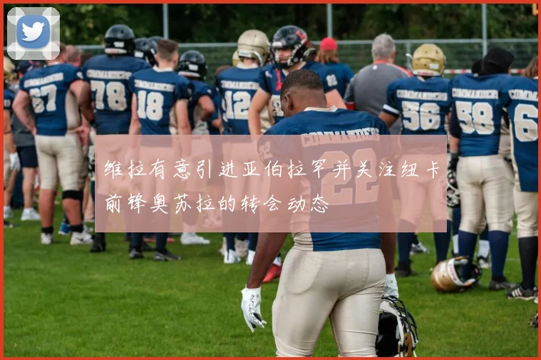 维拉有意引进亚伯拉罕并关注纽卡前锋奥苏拉的转会动态